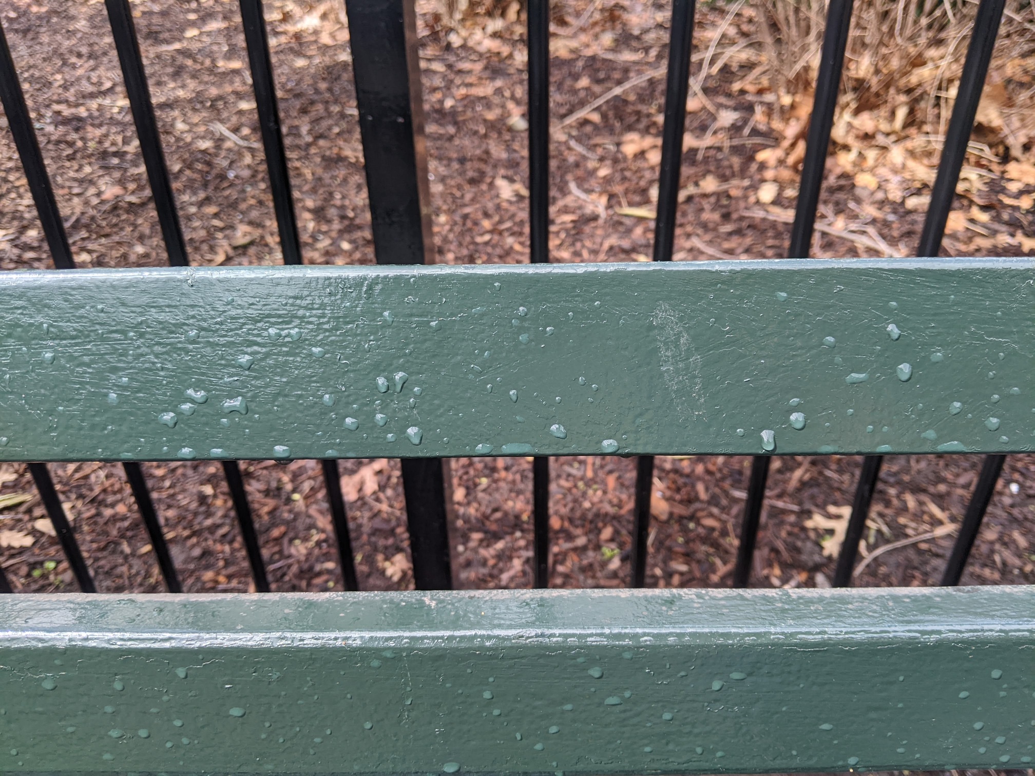 I saw this bench in Central Park