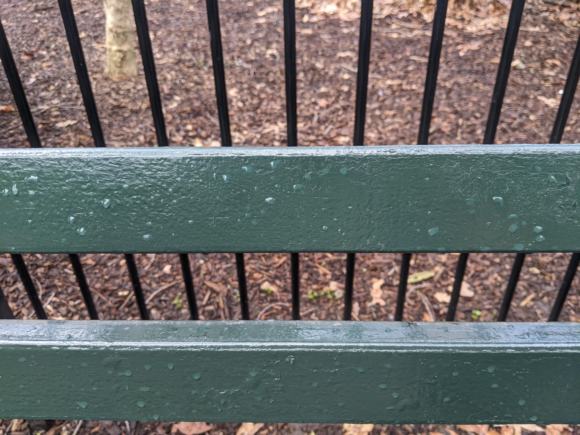 I saw this bench in Central Park